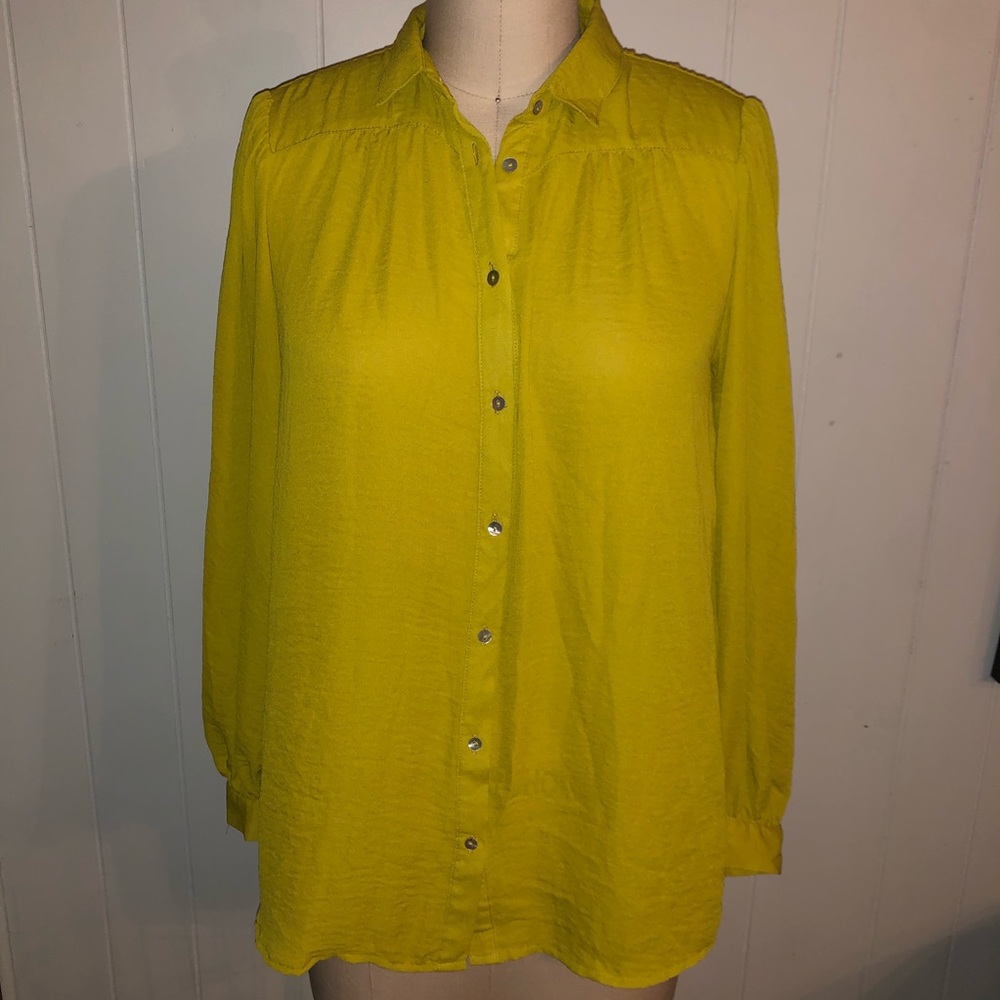 H&M Button Down Shirt